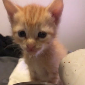 Meet your Posher, Jeremy